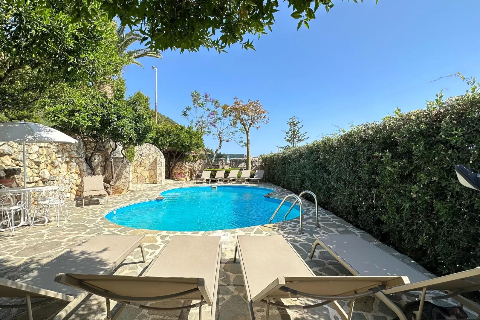 Patrizia Edera-Pool