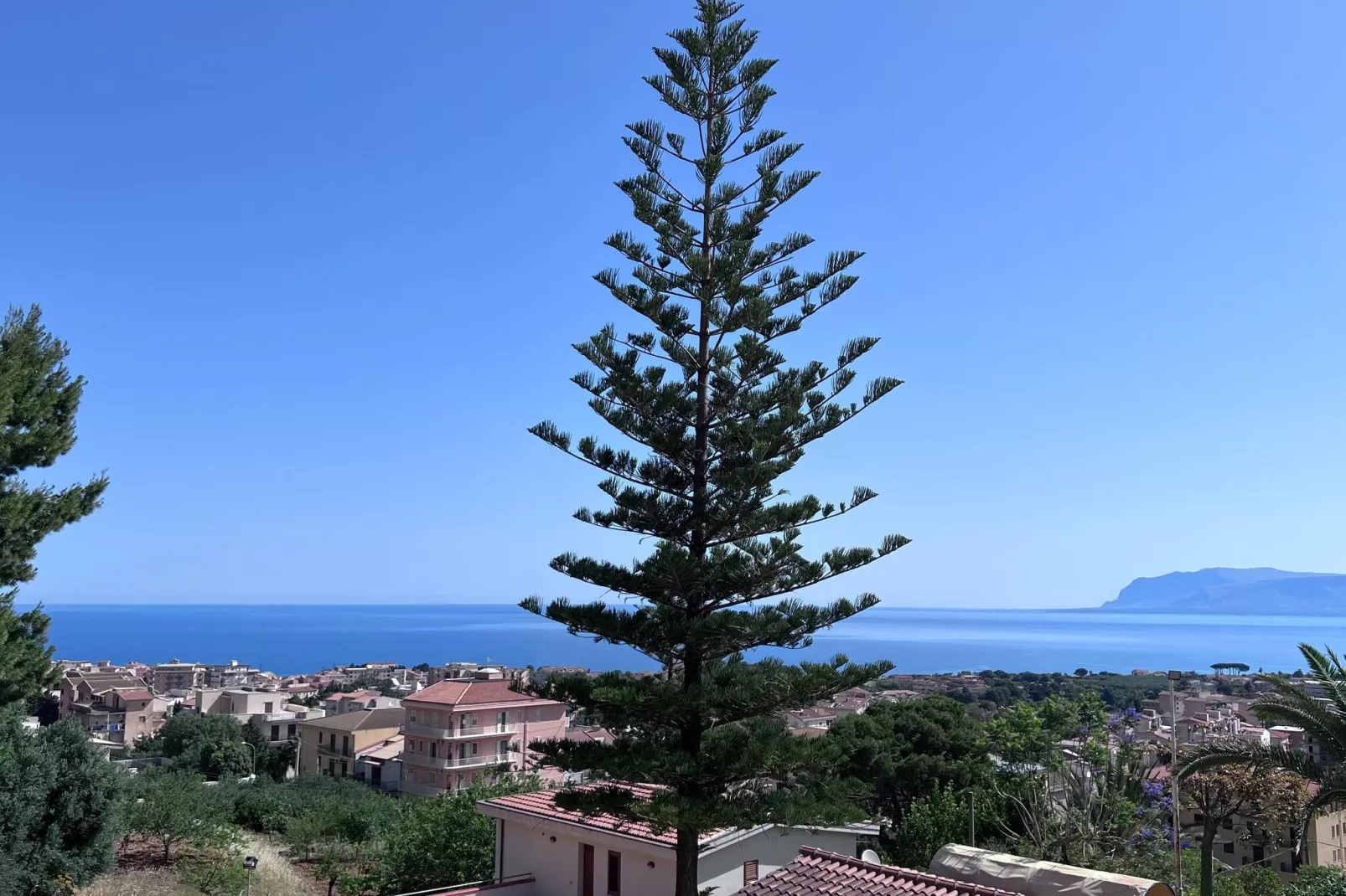 Patrizia Edera-Areas summer 1km