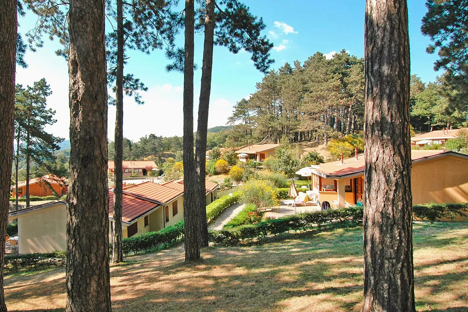 Ferienresidence Antico Borgo I Cancelli Palazzuolo - Type bilo ca 40 qm-Areas summer 1km
