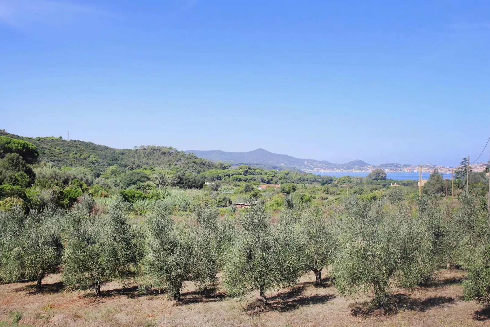 Holiday home Biocasa Fabiana, Portoferraio-Magazzini-Biocasa Fabiana-Areas summer 1km