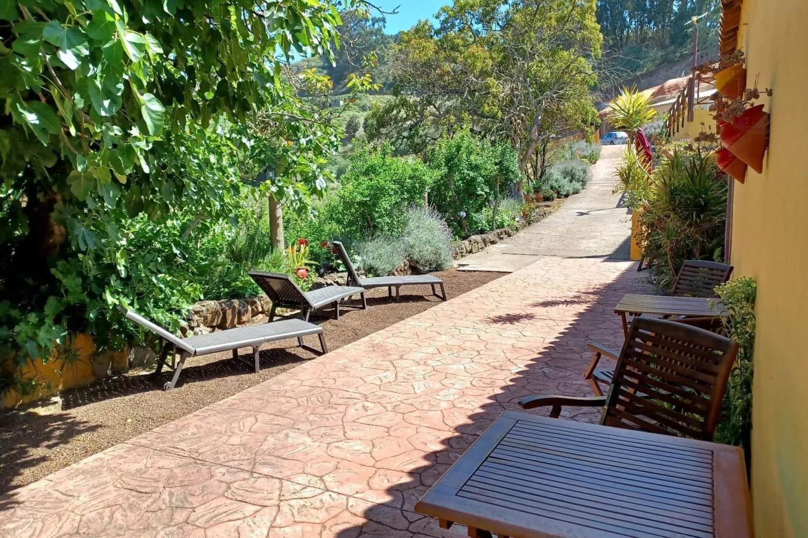 Finca Naturacanaria - Casa Azuaje-Terrassenbalkon