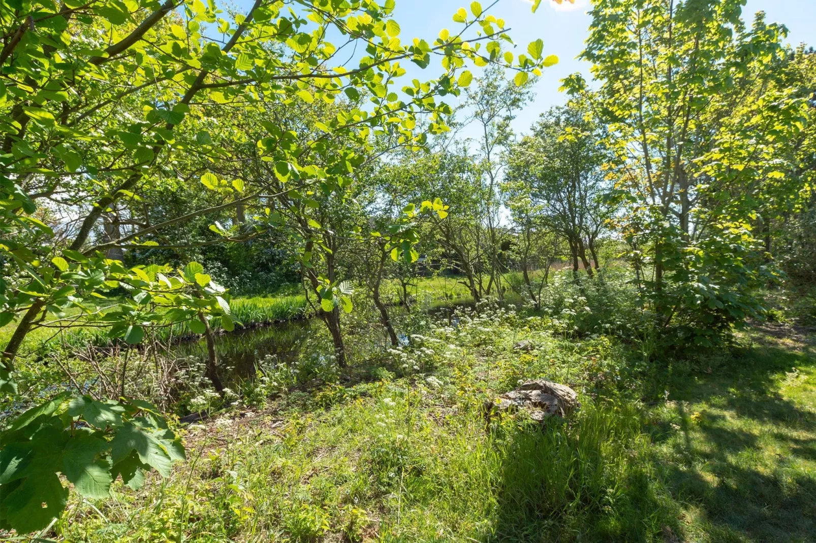 Previnaireweg 34-Areas summer 1km