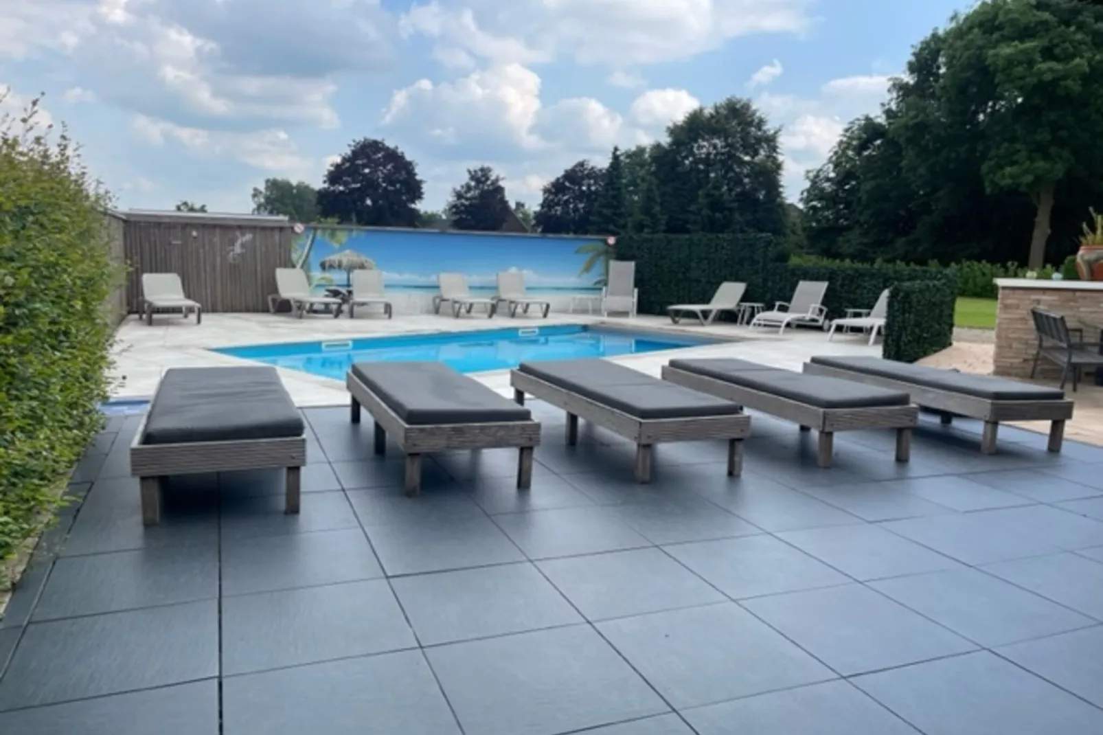 Villa Didam-Pool