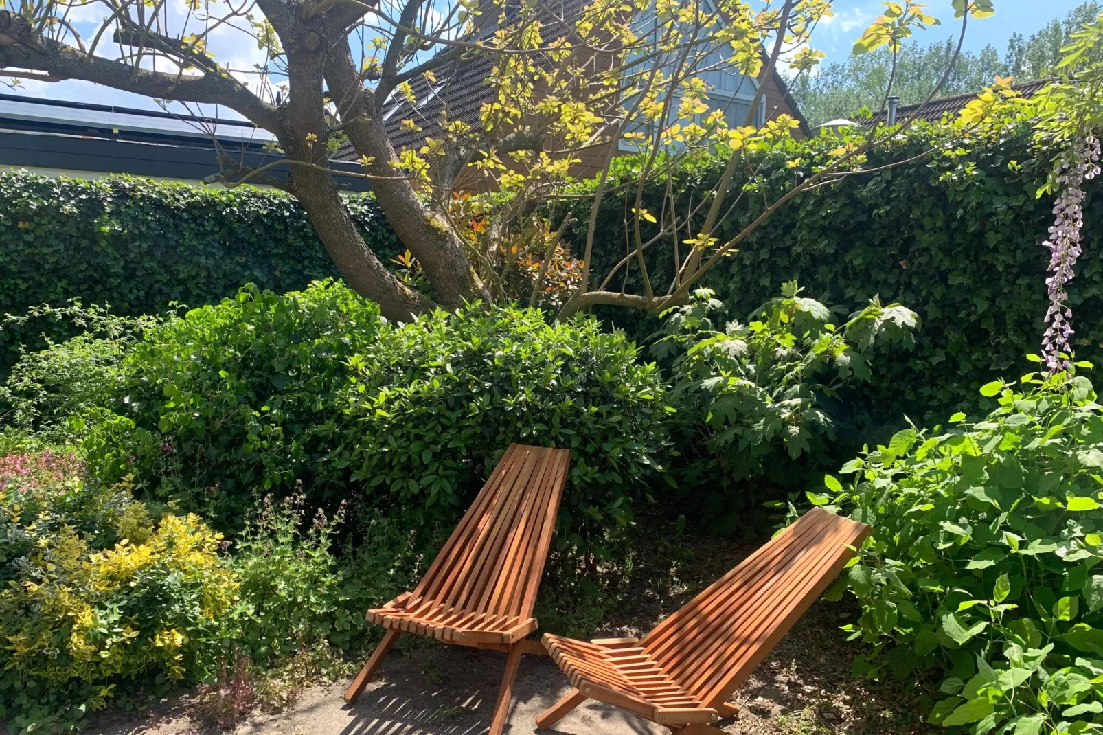 Casa Duna-Gardens summer