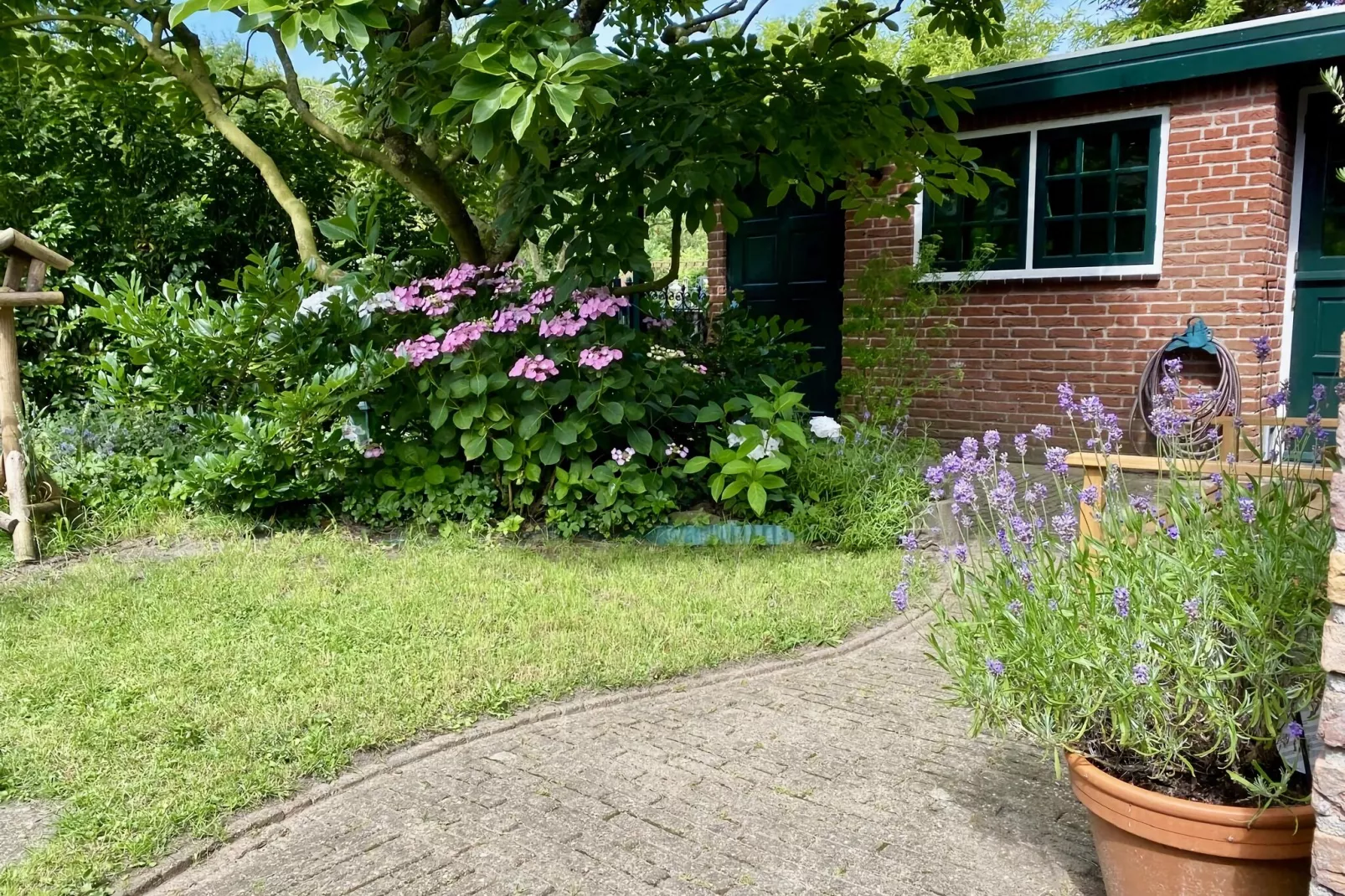 Familiehuis in Noordwijkerhout-Gardens summer