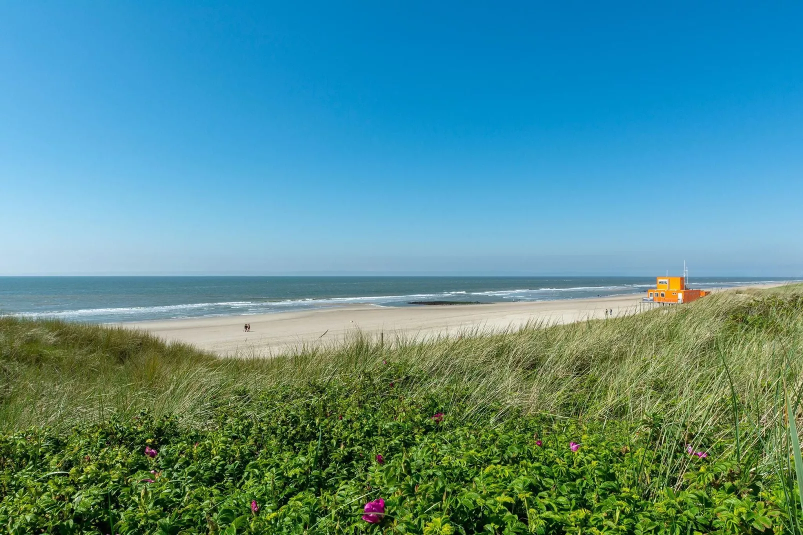 Duinland 135-Areas summer 5km
