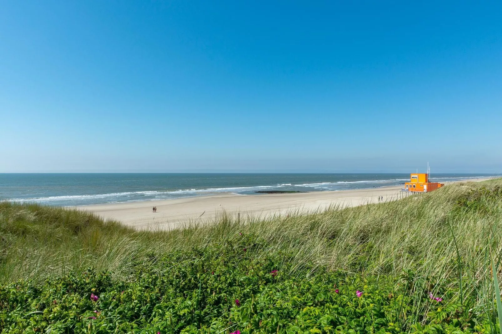 Strandhuys Zeester-Areas summer 5km
