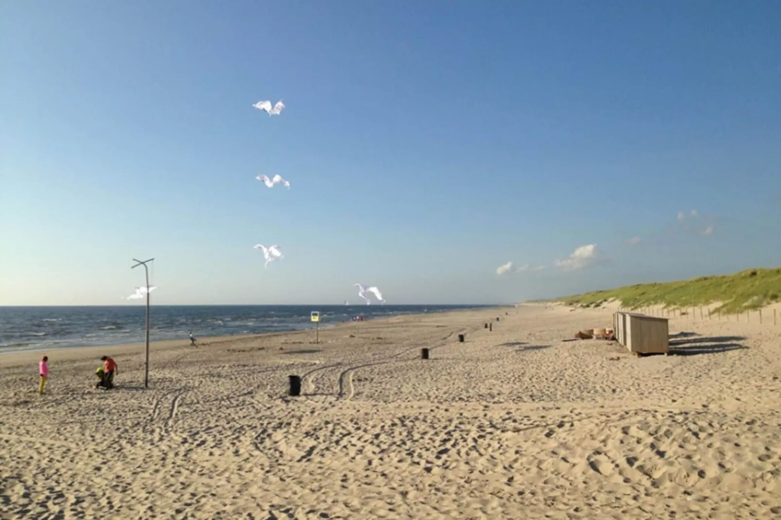 Duinland 186-Areas summer 5km