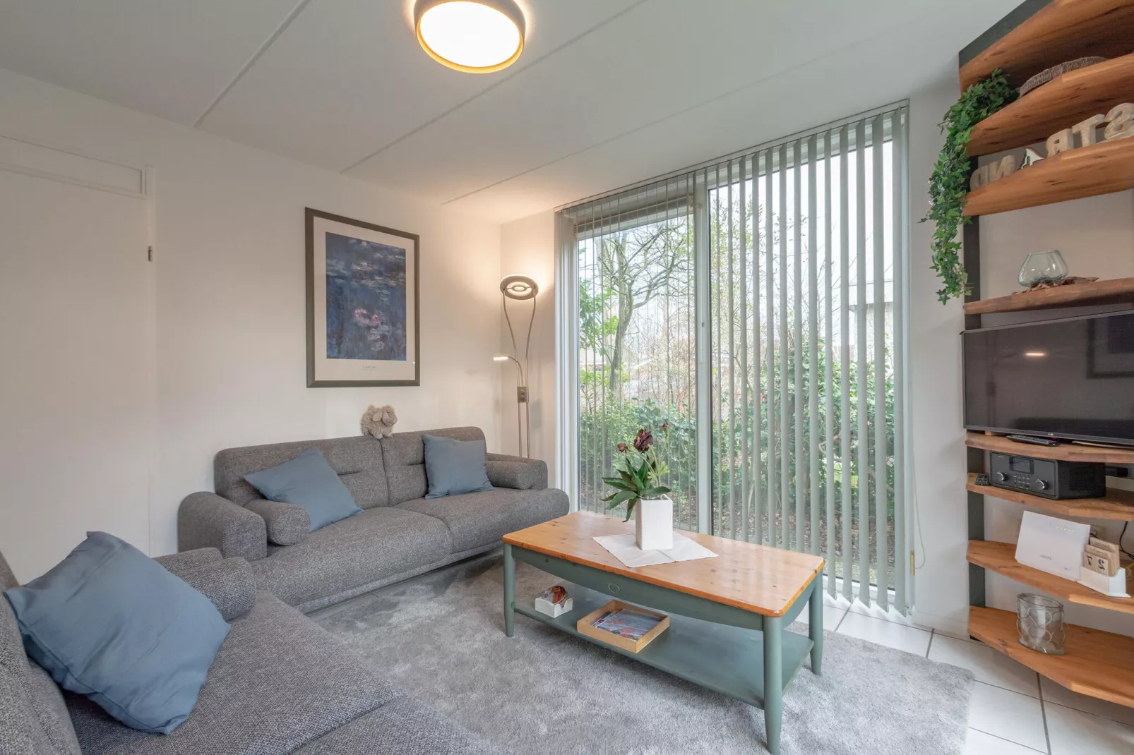 Campanula 39-Living room