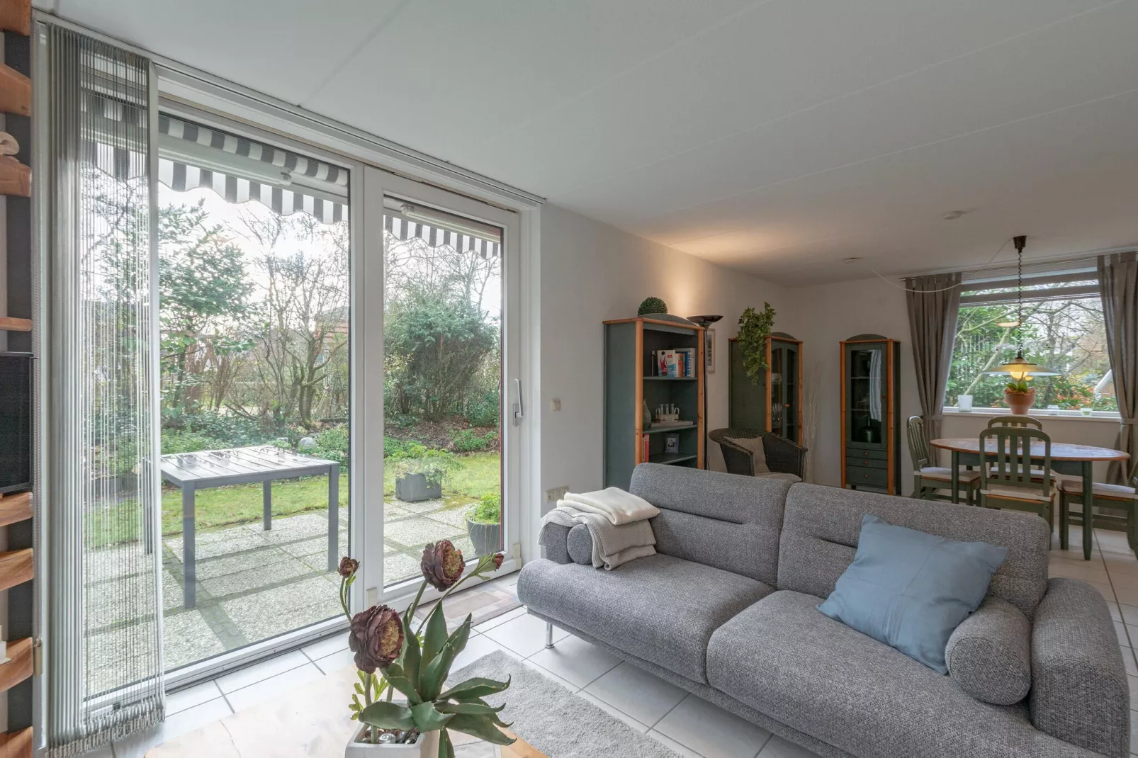 Campanula 39-Living room
