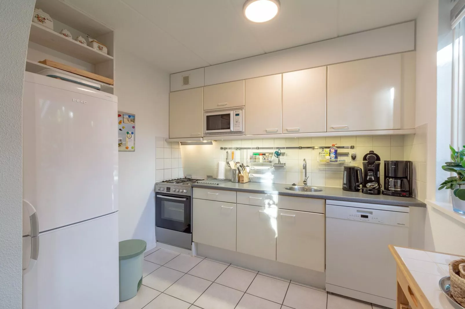 Campanula 39-Kitchen