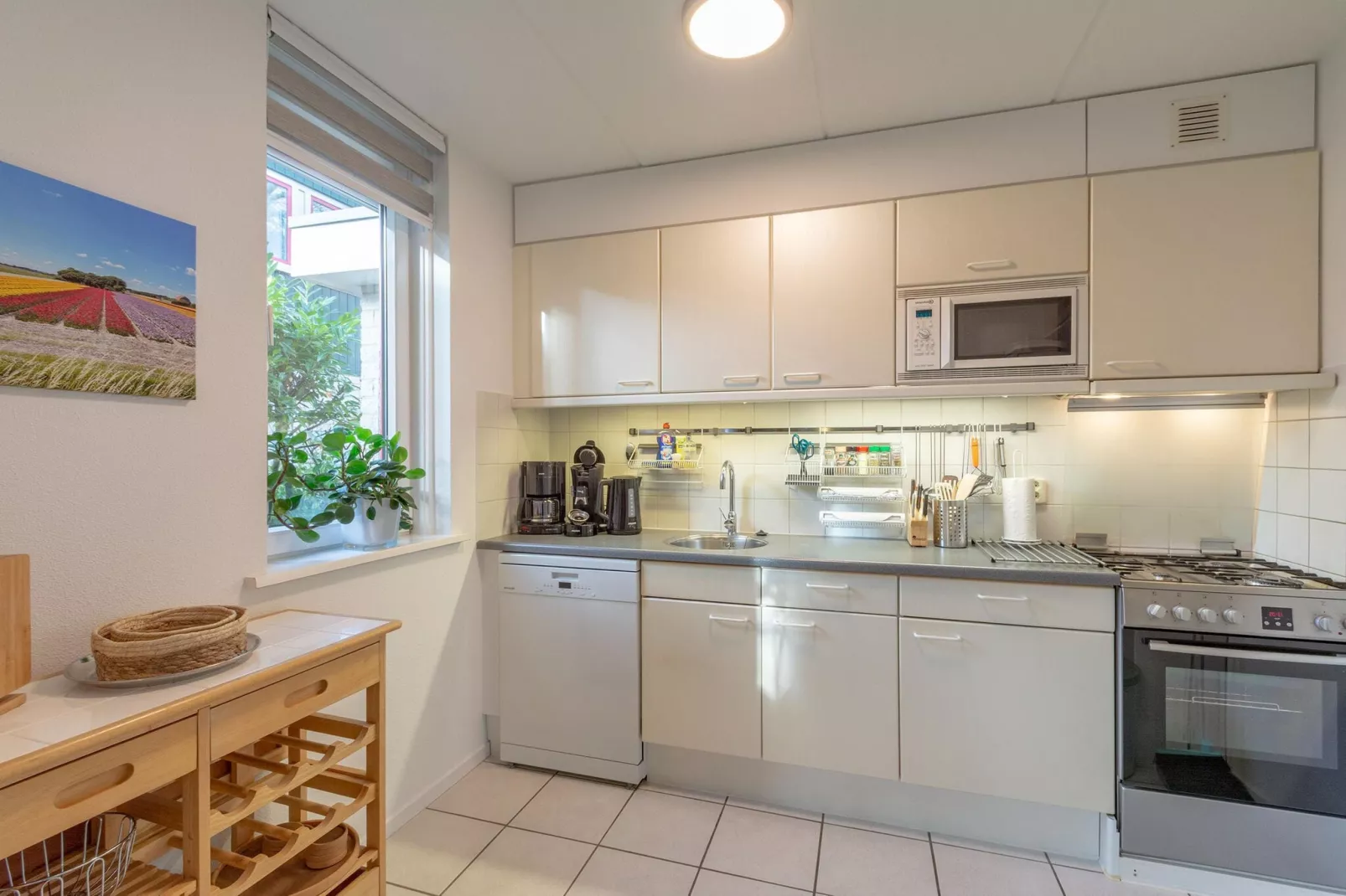 Campanula 39-Kitchen