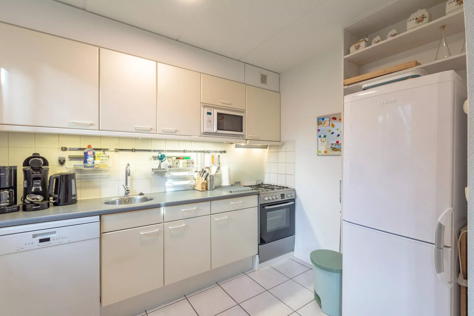 Campanula 39-Kitchen