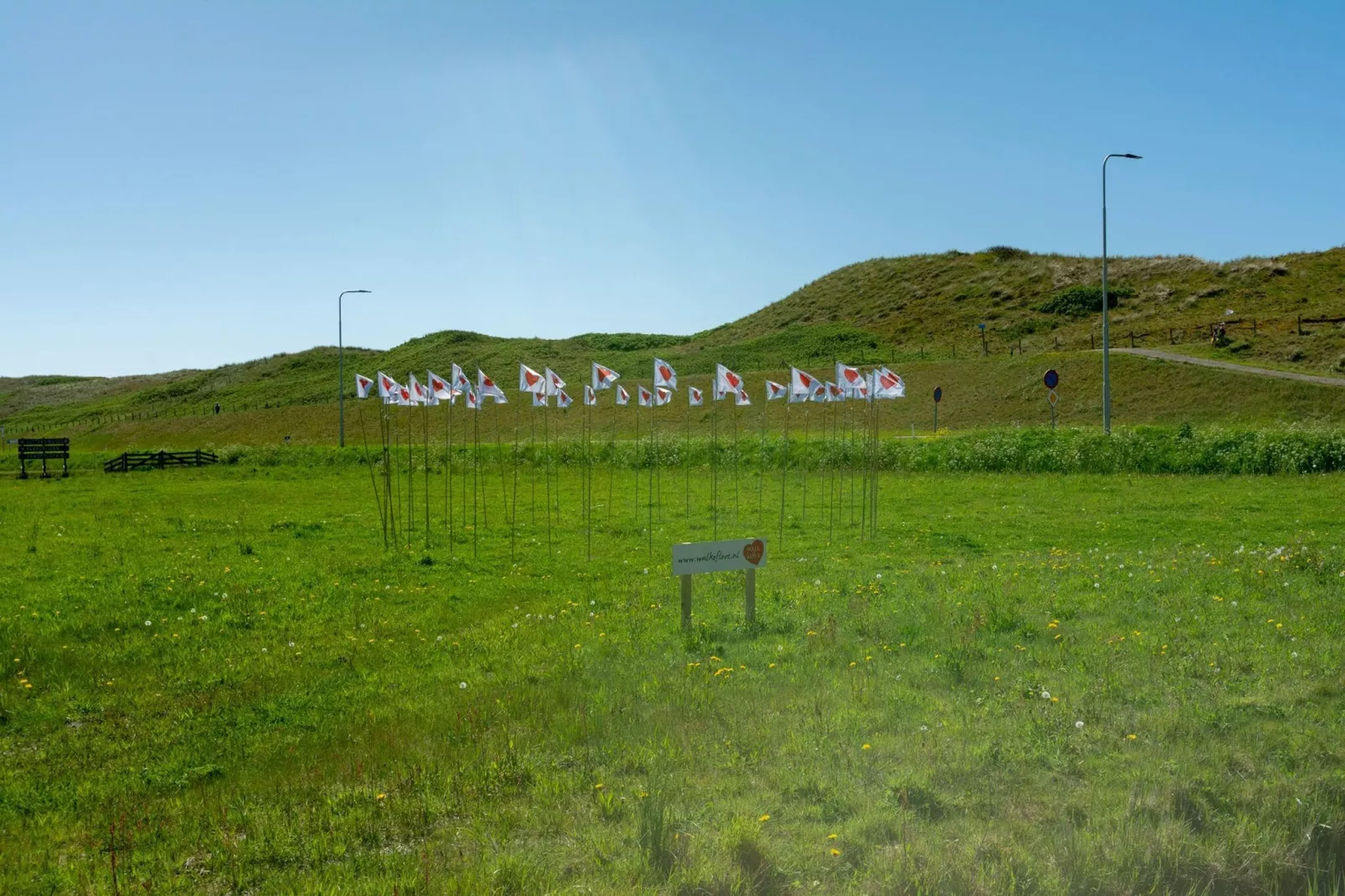 Strandleven 103-Gardens summer