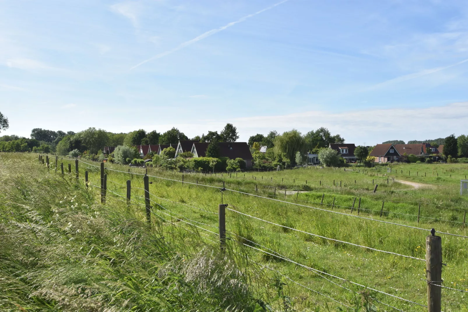 Het Volkerak-Areas summer 1km