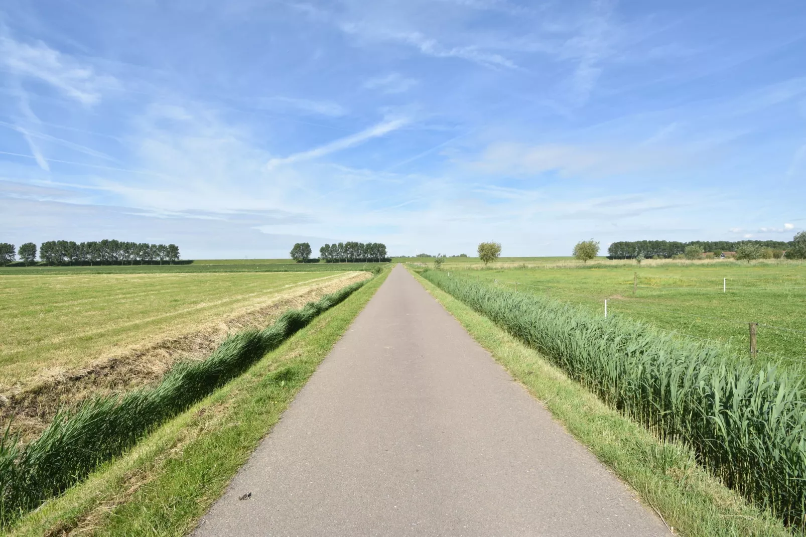 Het Volkerak-Areas summer 1km