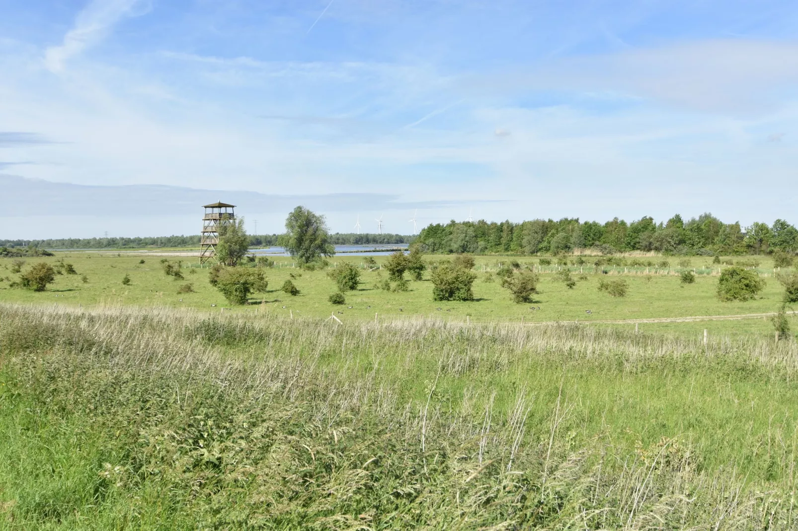 Het Volkerak-Areas summer 5km