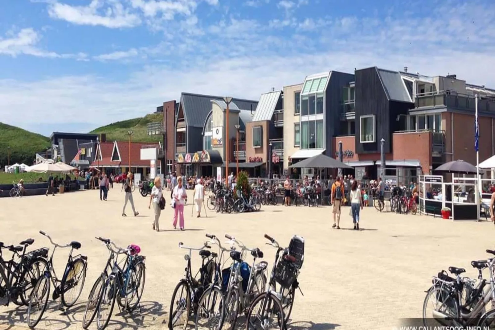 Wijde Blick 208-Areas summer 1km