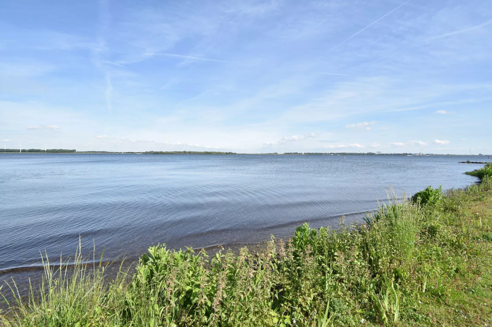 Het Volkerak-Areas summer 5km