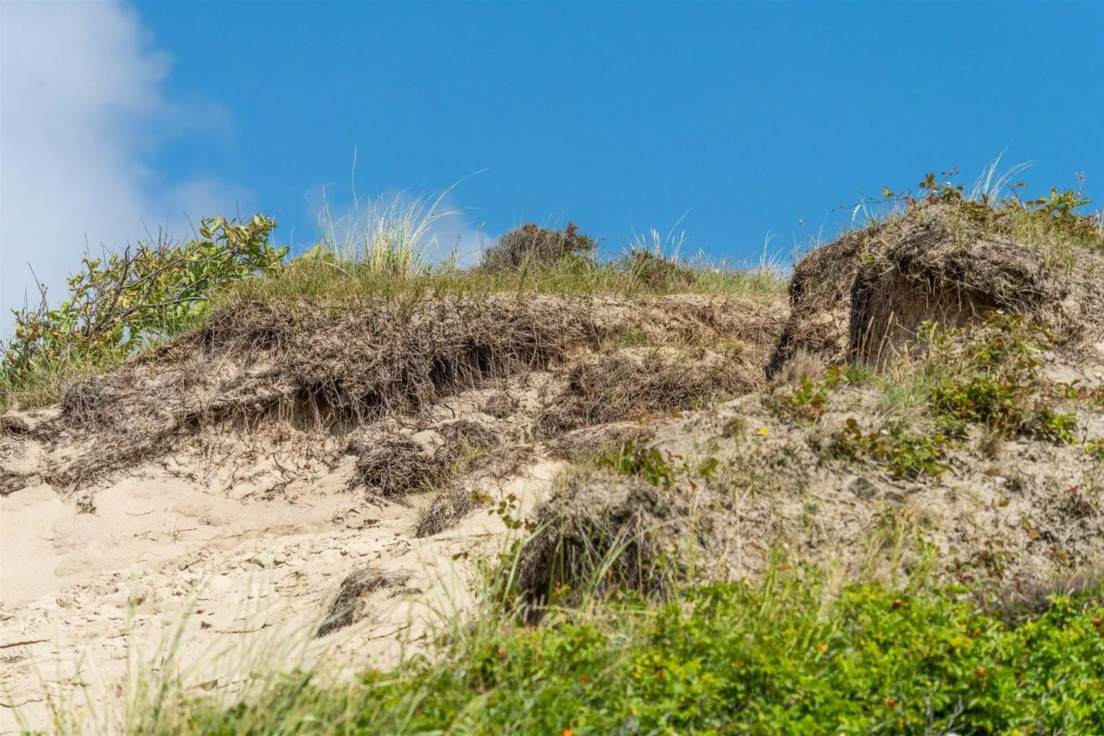 Strandhuis Uitwaayer-Zones d'été à 20 km