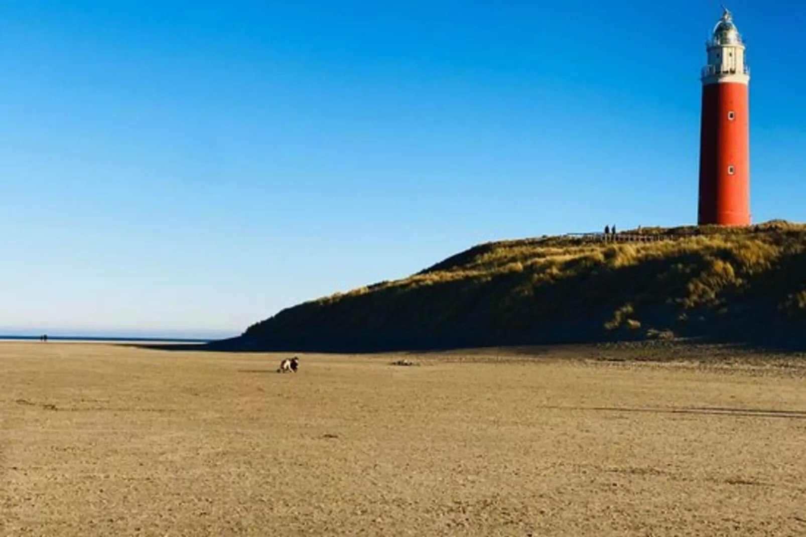 Beach Appartement 29-Areas summer 5km