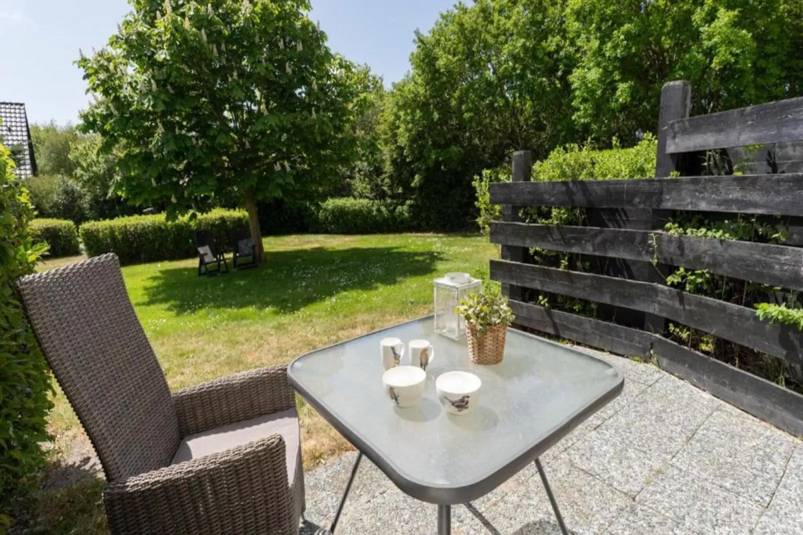 Strandhuys Alikruik-Gardens summer