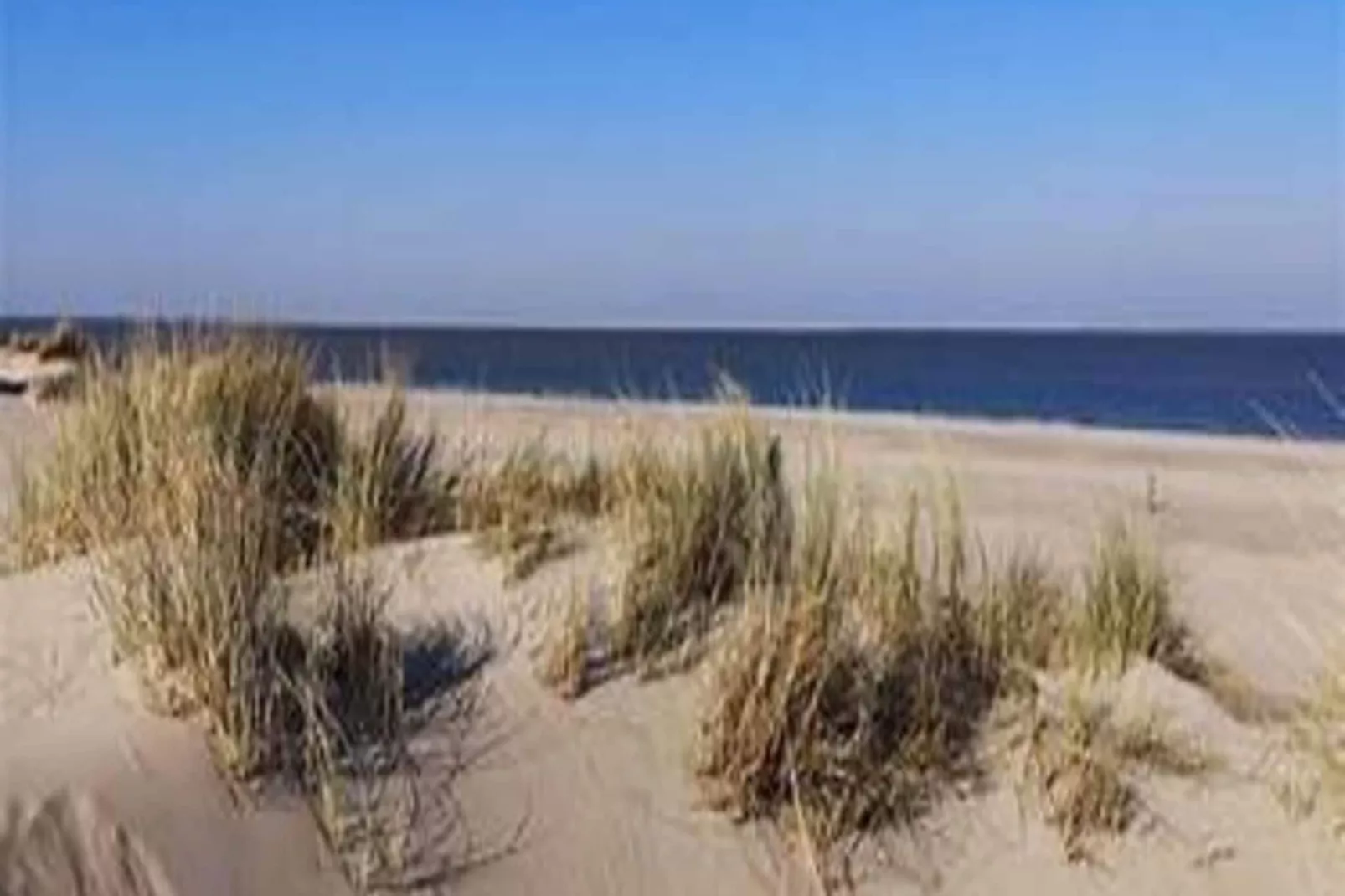 Strandhuys Alikruik-Exterior summer