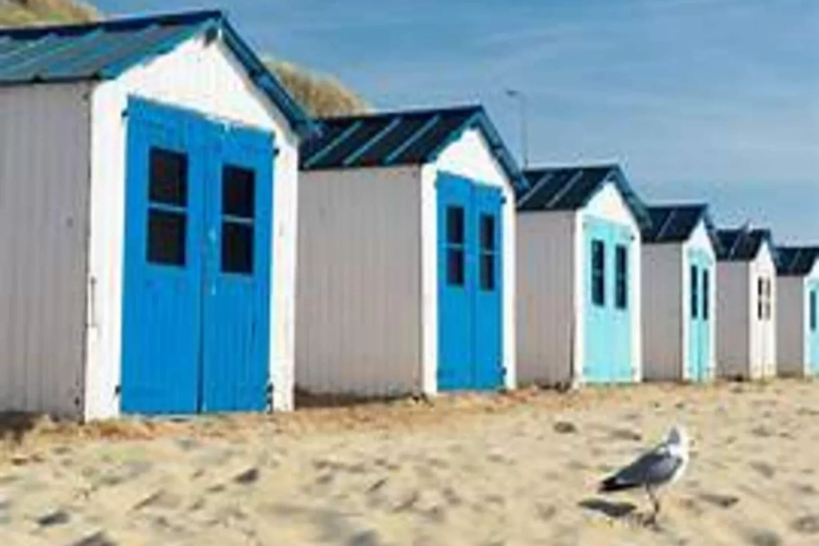 Strandhuys Alikruik-Exterior summer