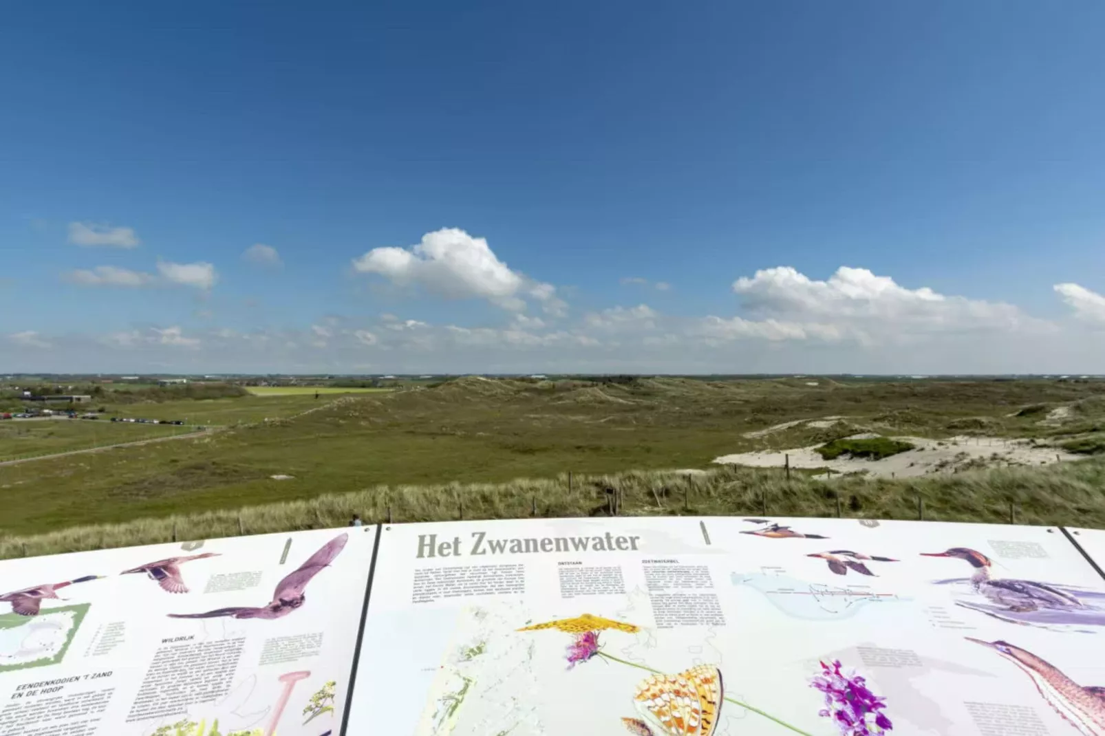 Duinroosweg 83-Areas summer 5km