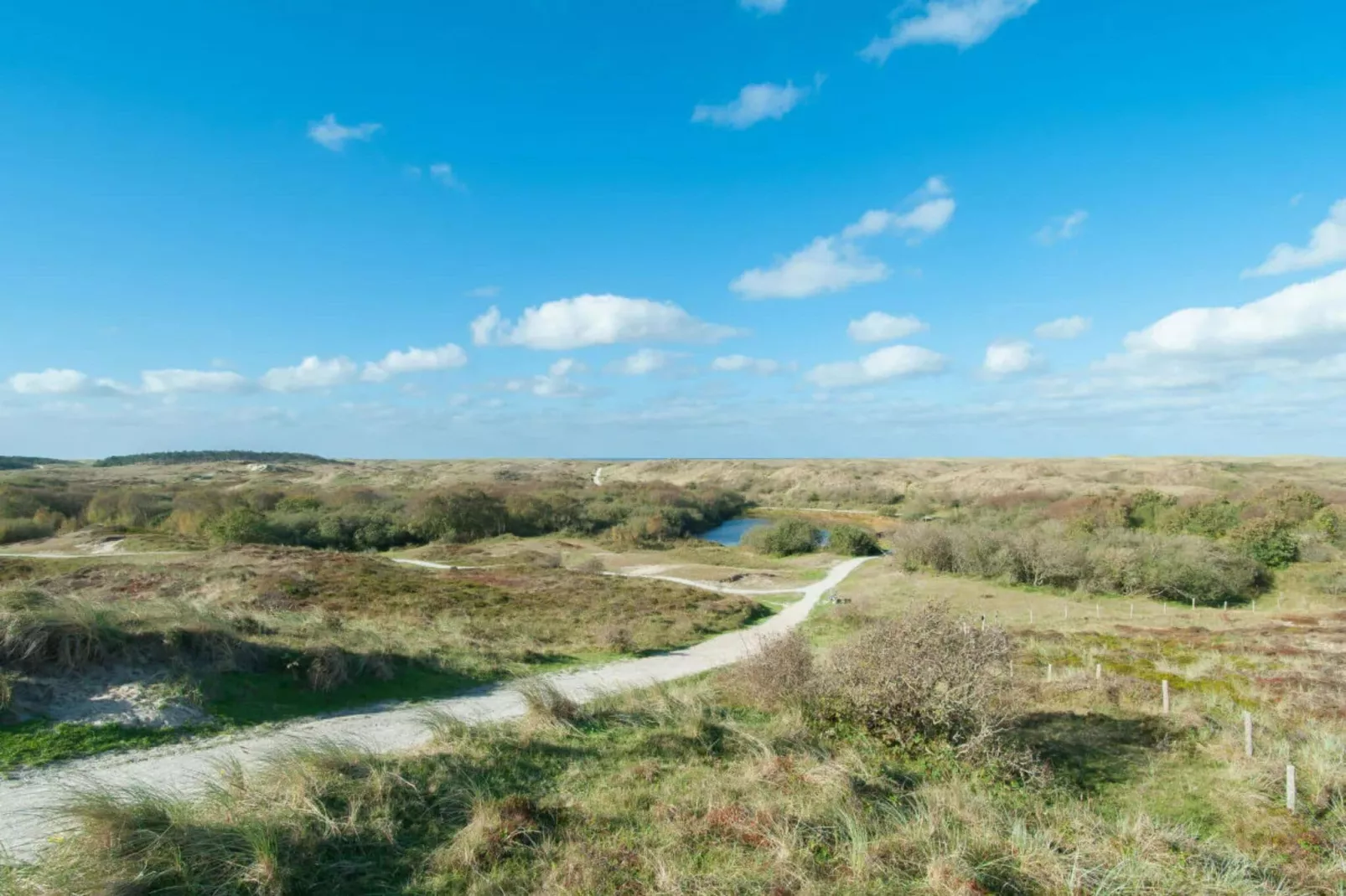 Duinroosweg 83-Areas summer 5km