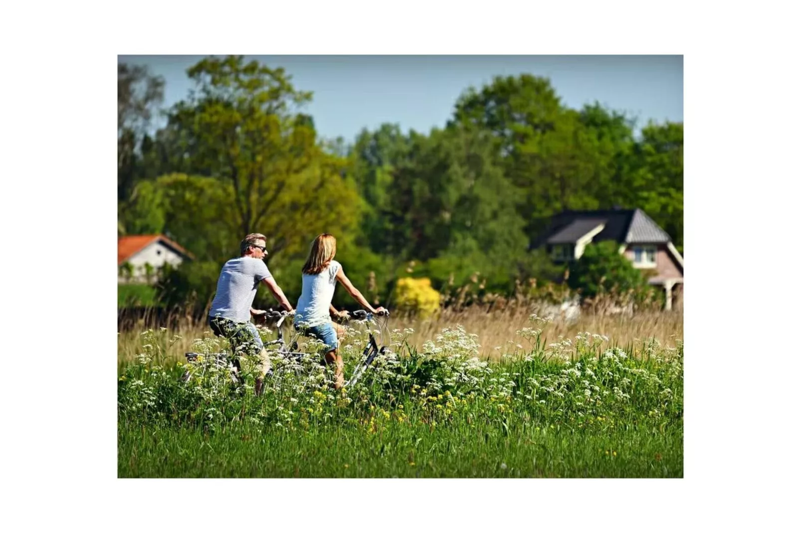 Duinroosweg 83-Areas summer 5km