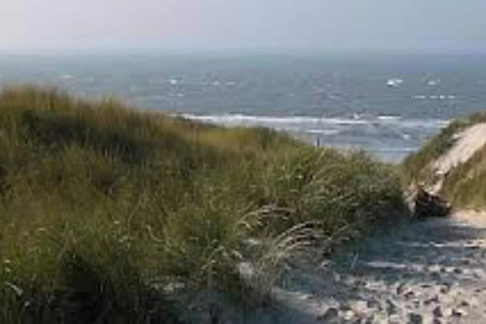 Duinroosweg 83-Areas summer 20km