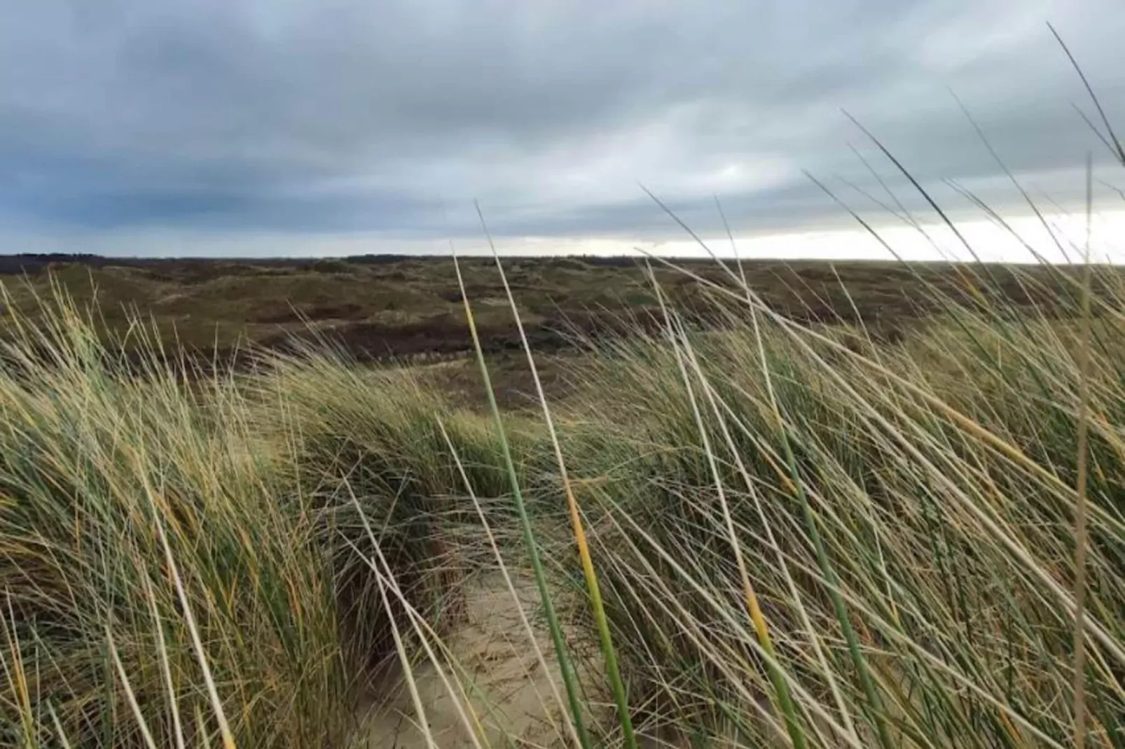 Beach Studio Texel-Areas summer 5km