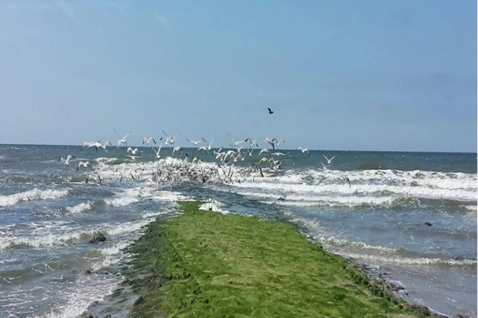 Boerenslag 2-Gebiete Sommer 5 km
