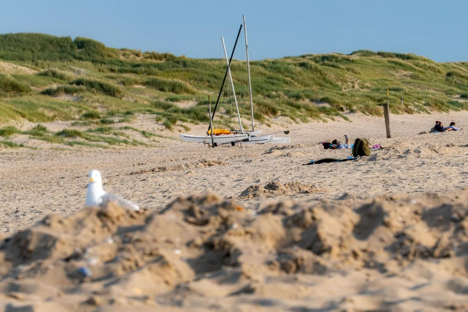 Duynopgangh 46-Gebiete Sommer 20 km