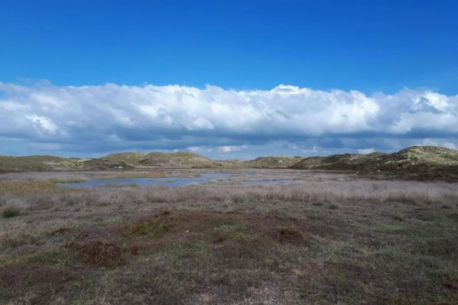 Eureka 36-Areas summer 20km