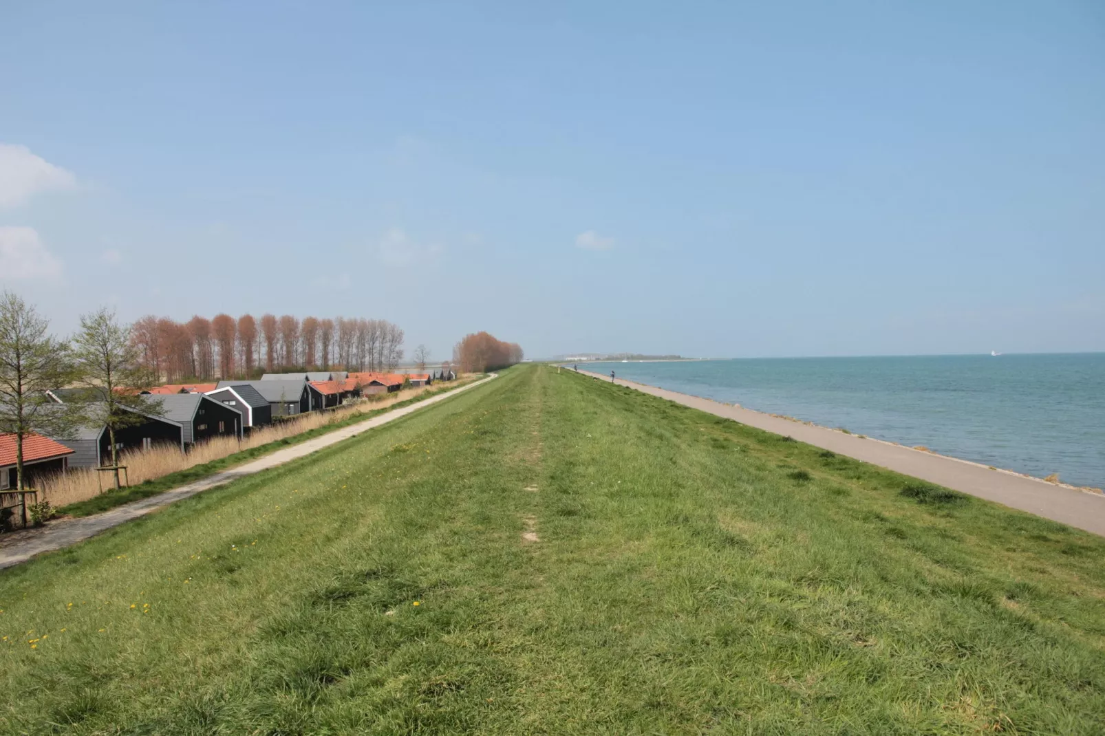 Weidse Blik-Areas summer 1km