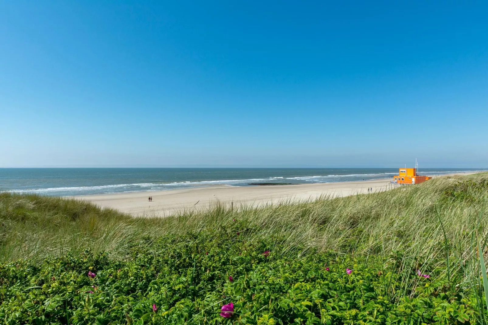 Suite Duinzicht-Areas summer 1km