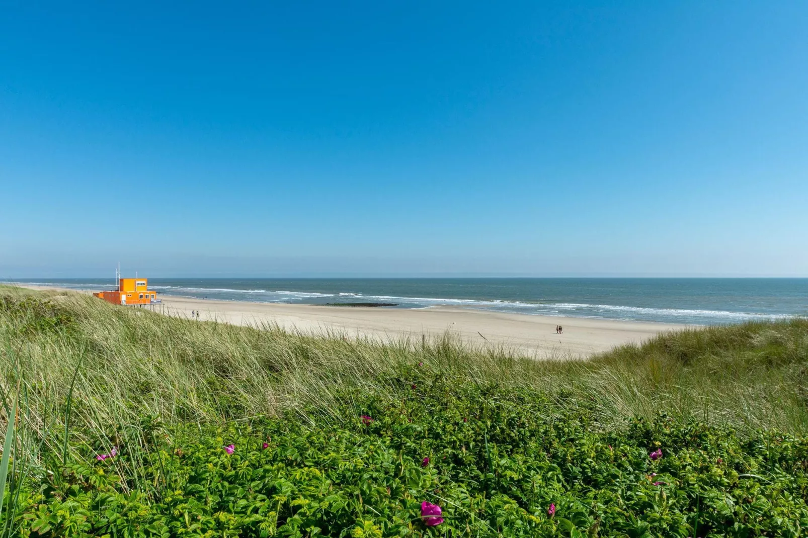 Suite Duinzicht-Areas summer 5km