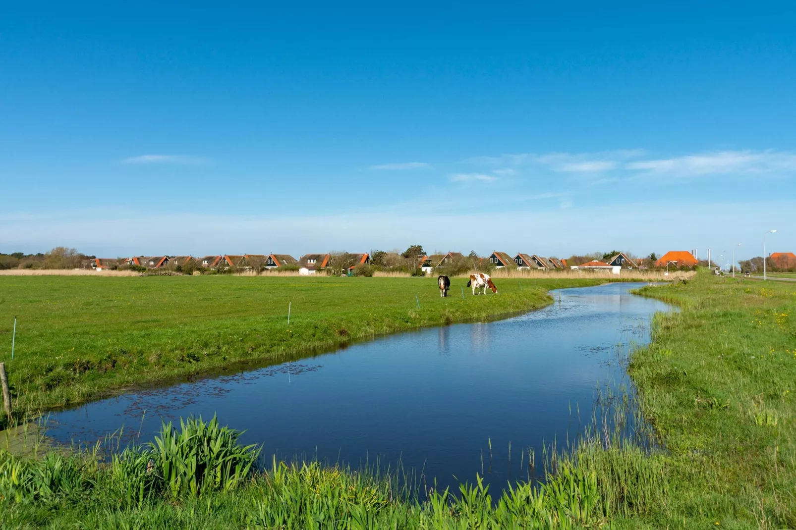 De Buitenplaats 72-Areas summer 5km
