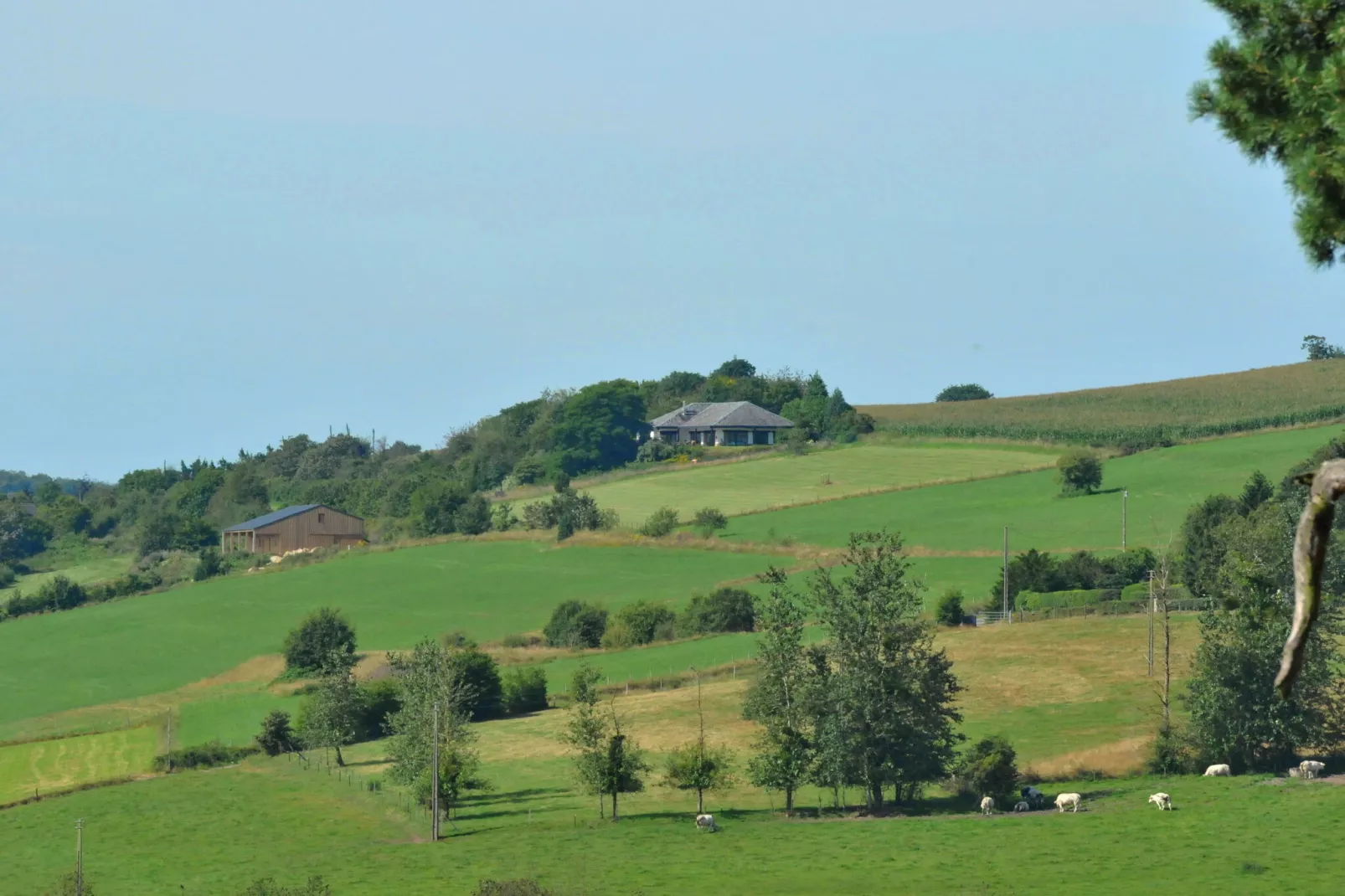La Chevalerie-Aussicht Sommer