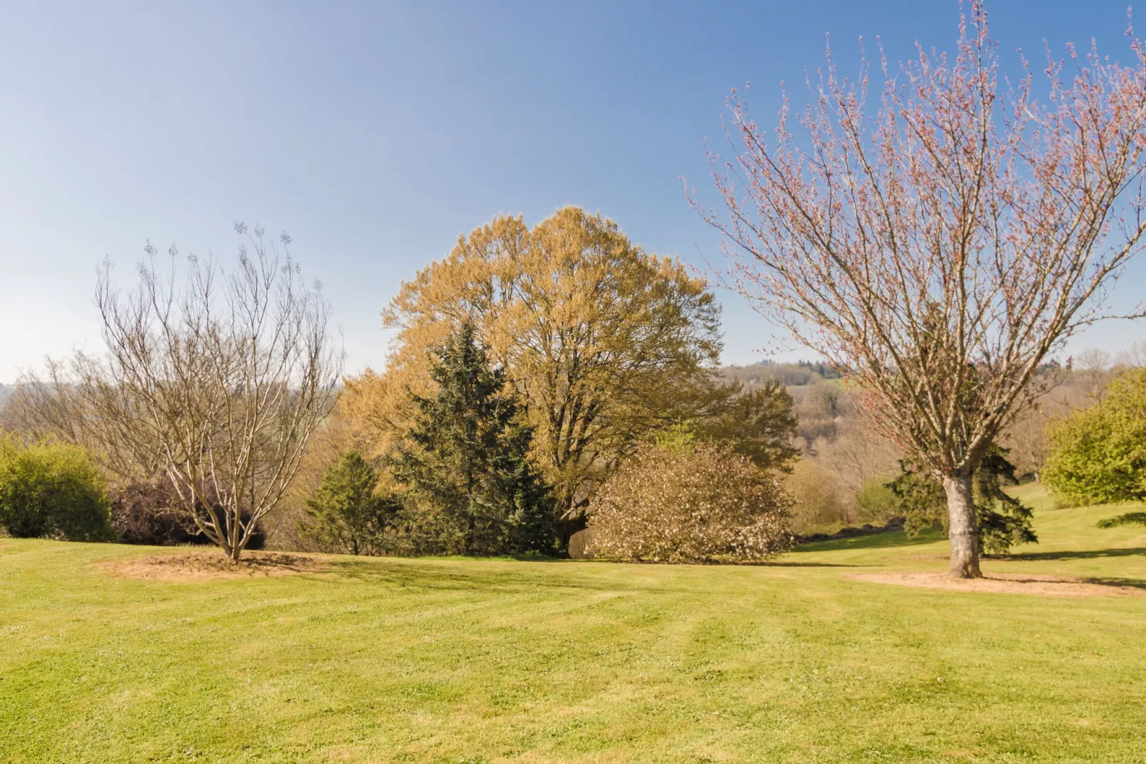 Las Gouttas-Jardins en été