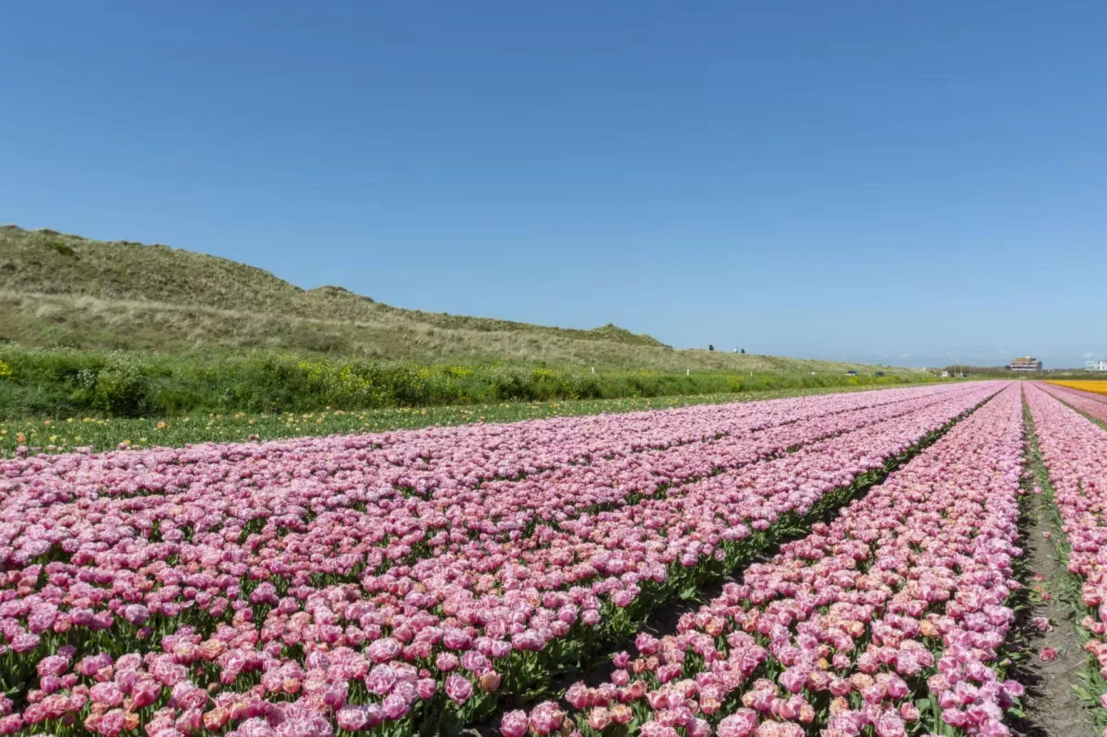 Hoeve Landzicht-Areas summer 20km