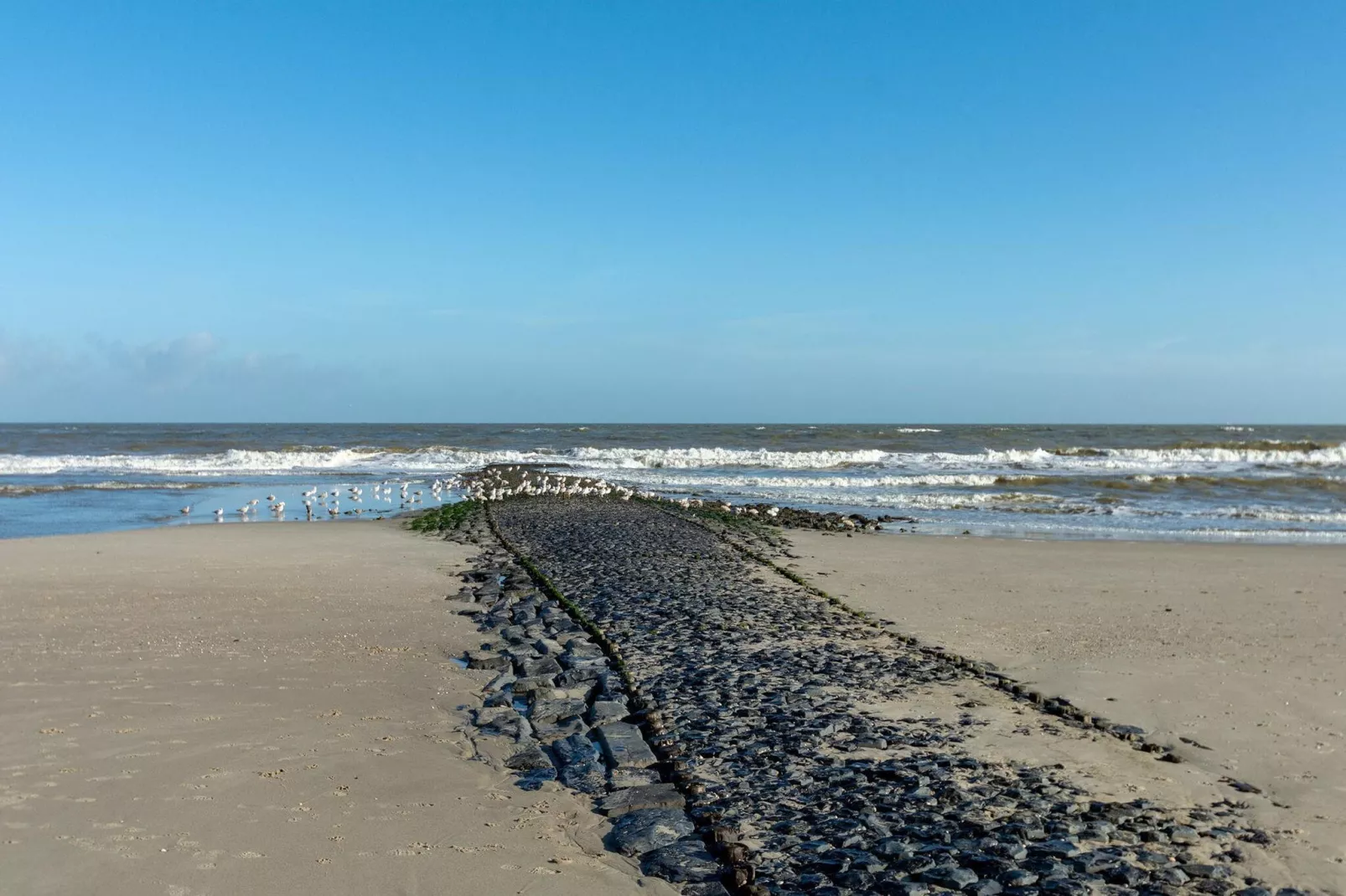 Wijde Blick 203-Areas summer 5km