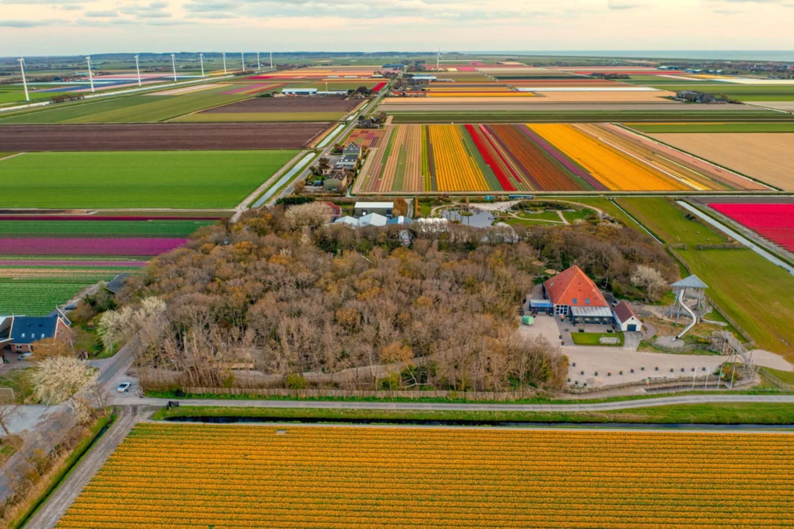 Hofstee 18-Areas summer 20km