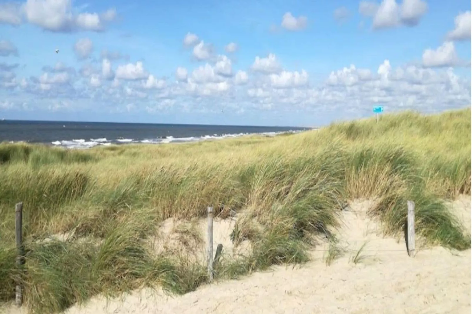 De Buitenplaats 116-Areas summer 5km