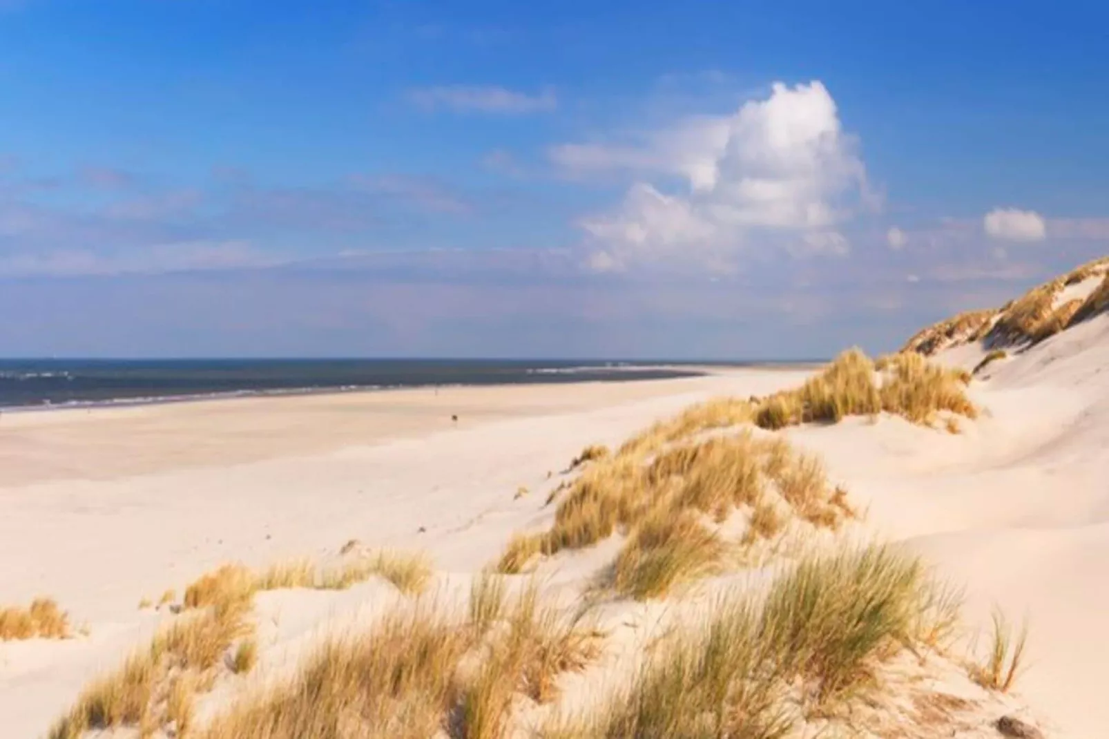 Wijde Blick 301-Areas summer 5km