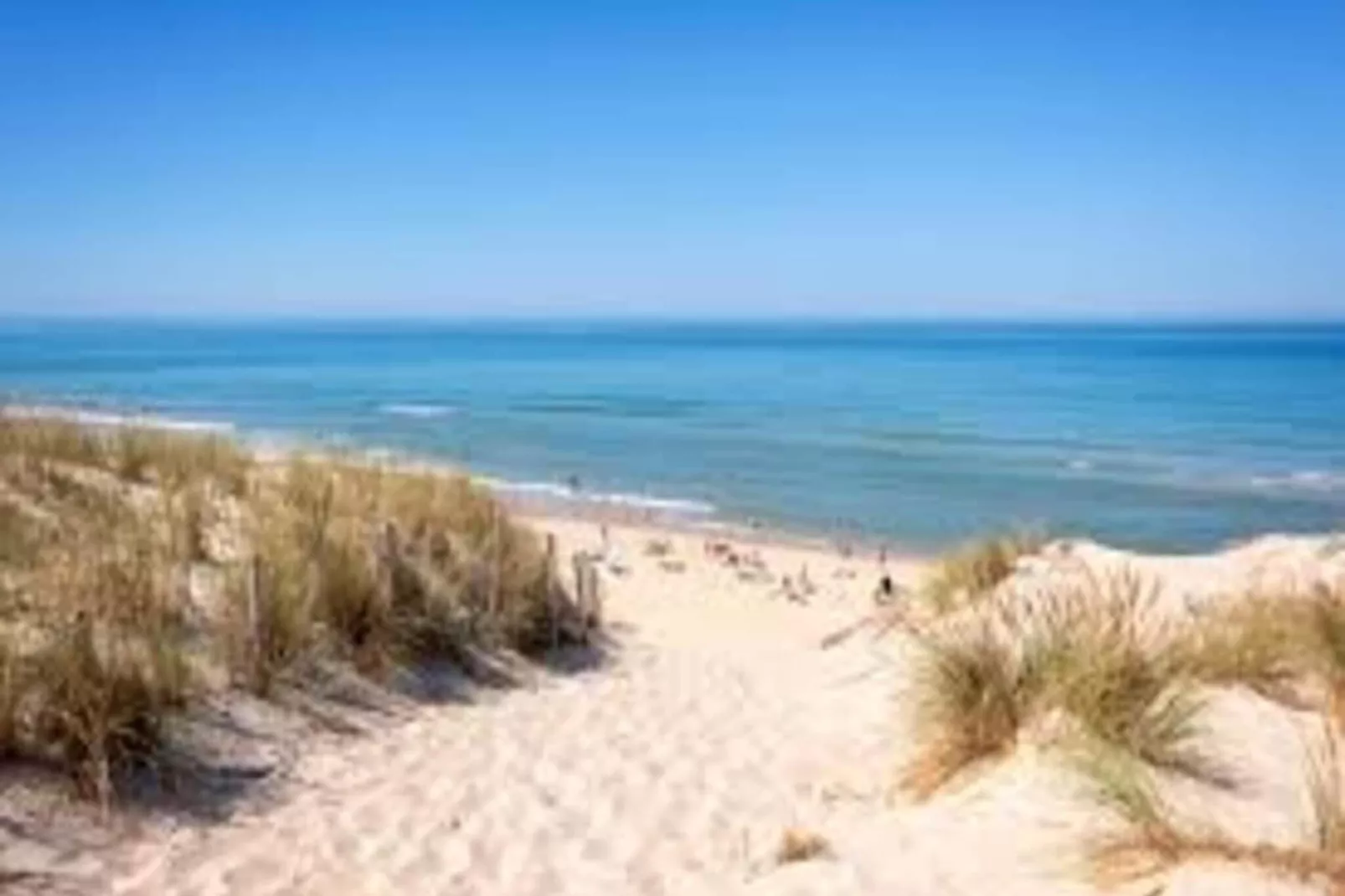 Wijde Blick 301-View summer