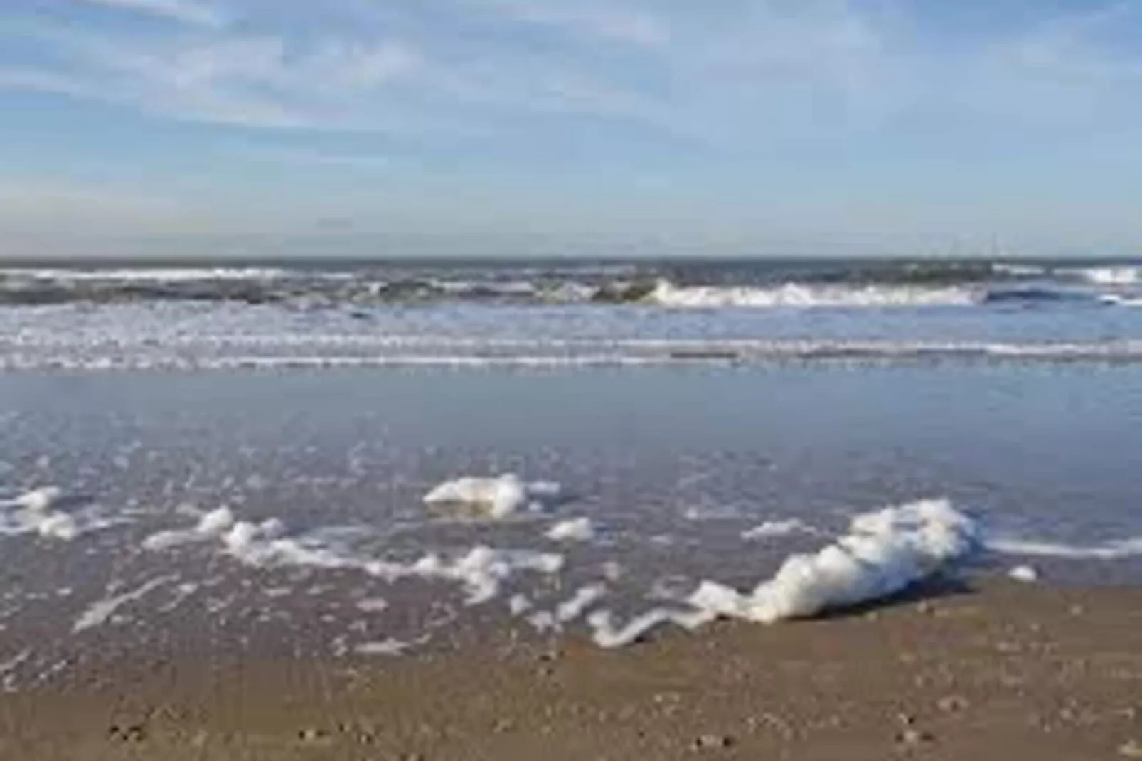 Wijde Blick 301-View summer