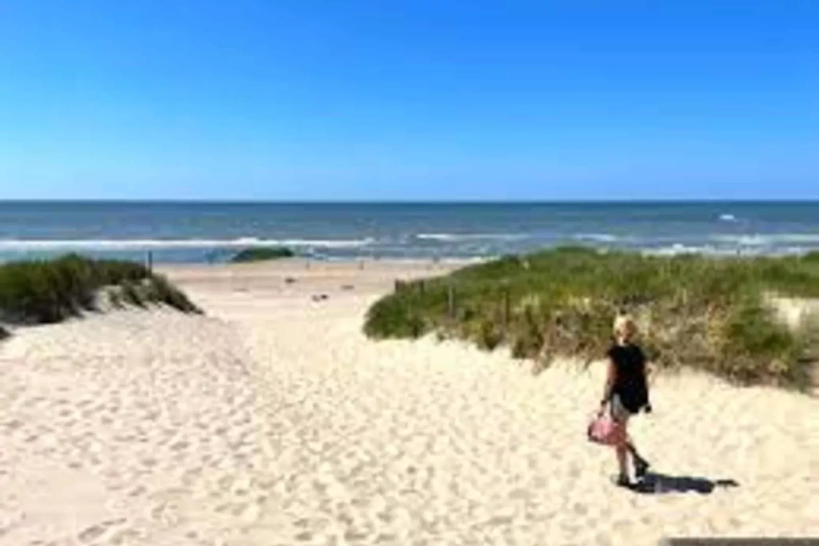 Wijde Blick 309-View summer